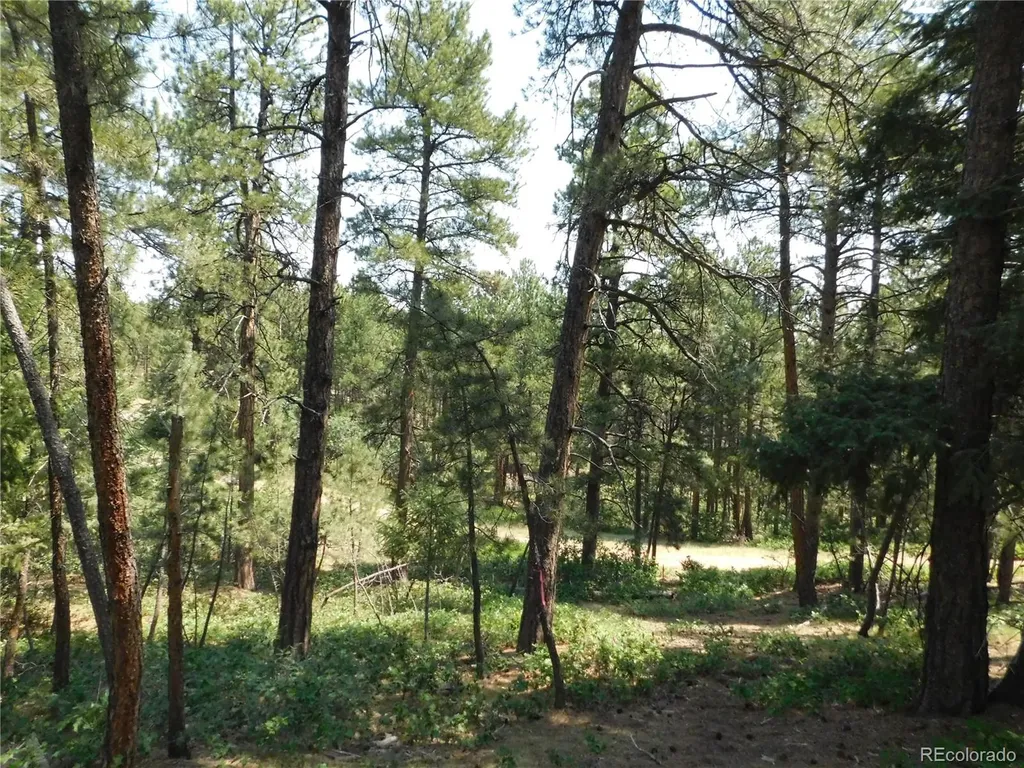 4480 Delaware Drive Larkspur CO 80118