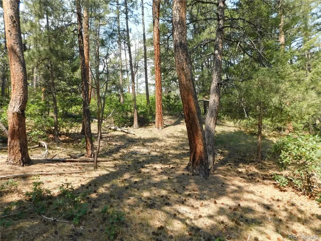 4480 Delaware Drive Larkspur CO 80118