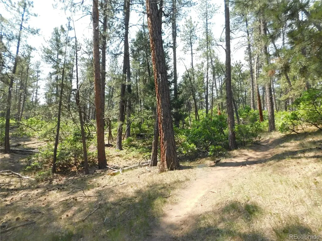 4480 Delaware Drive Larkspur CO 80118