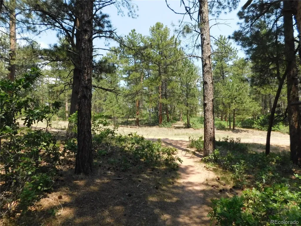 4480 Delaware Drive Larkspur CO 80118