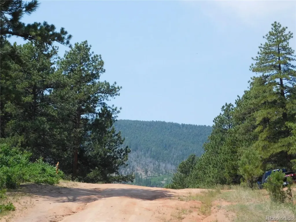 4480 Delaware Drive Larkspur CO 80118