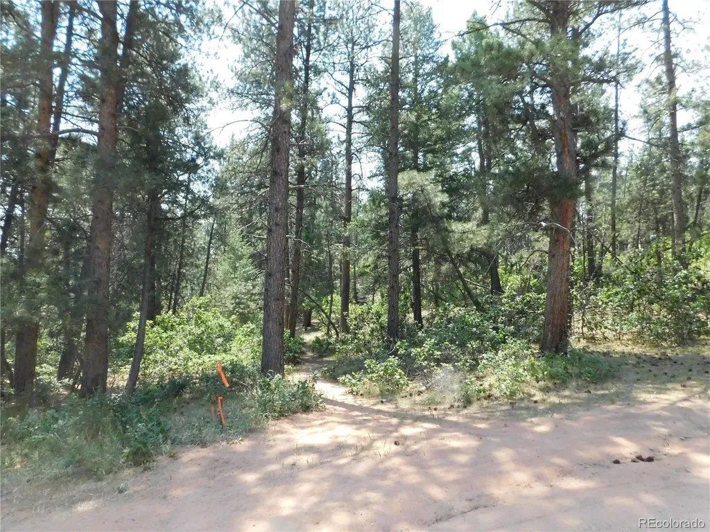 4480 Delaware Drive Larkspur CO 80118