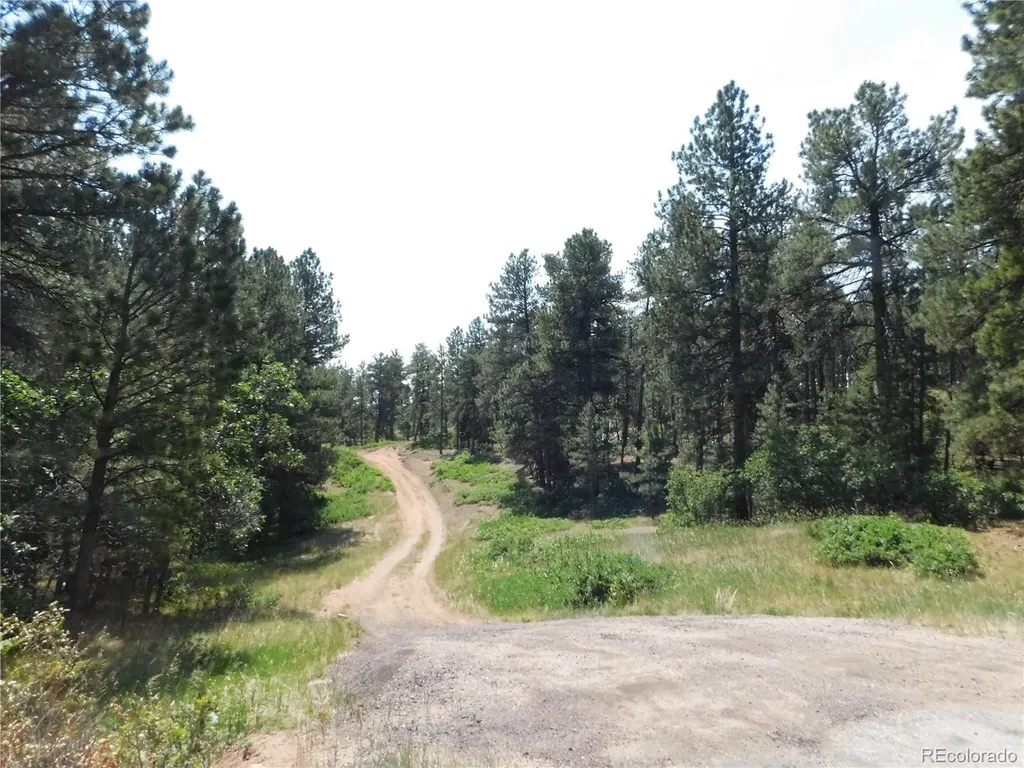 4480 Delaware Drive Larkspur CO 80118