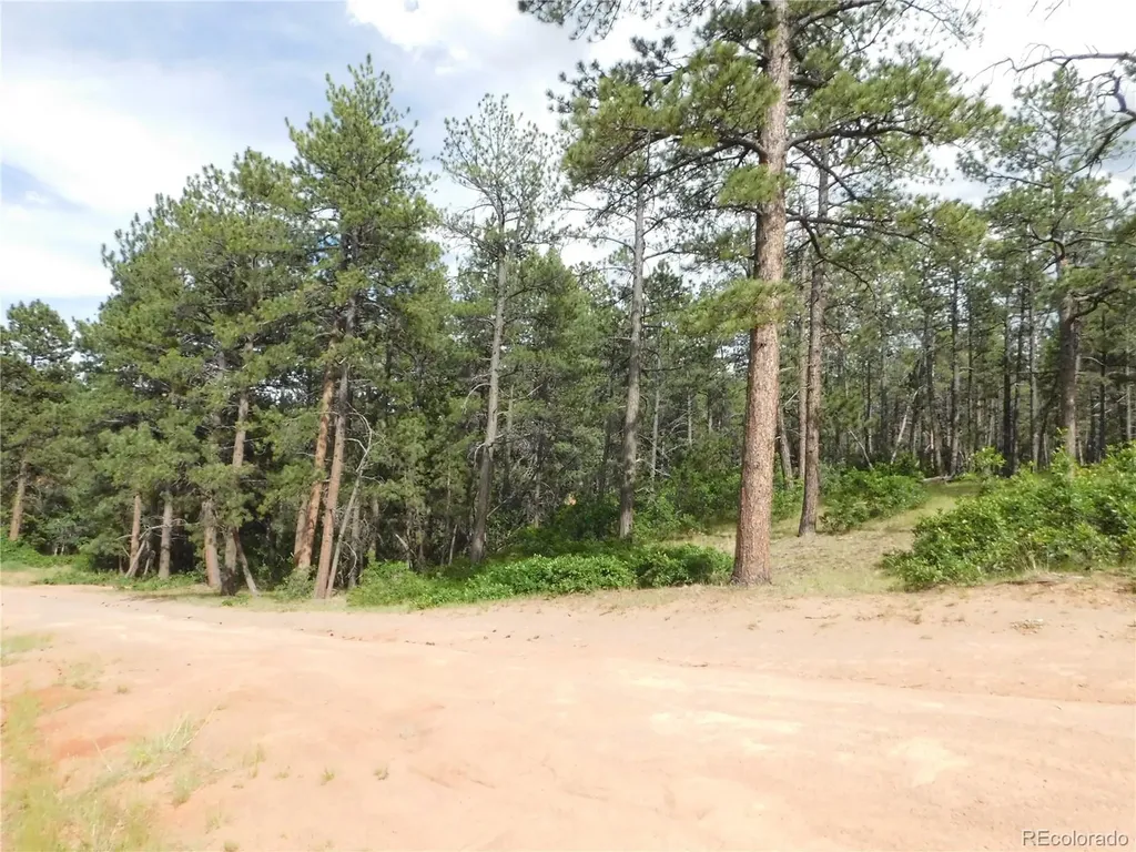 4480 Delaware Drive Larkspur CO 80118