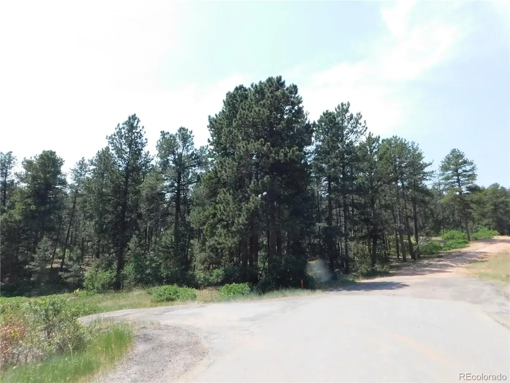4480 Delaware Drive Larkspur CO 80118