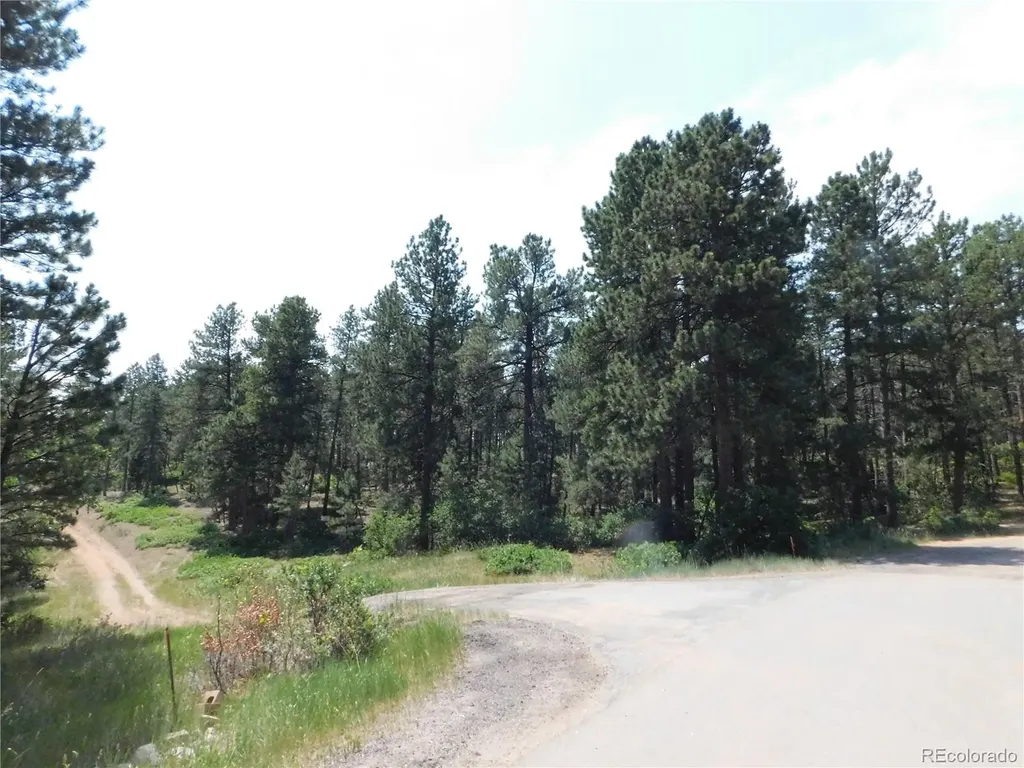 4480 Delaware Drive Larkspur CO 80118