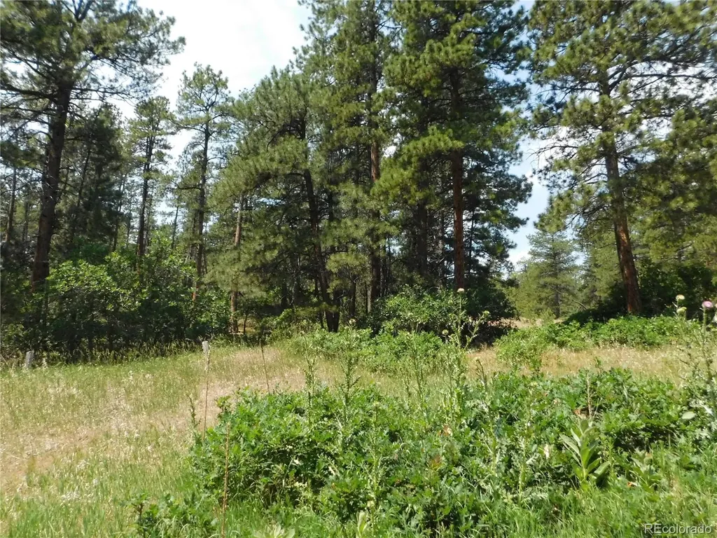 4480 Delaware Drive Larkspur CO 80118