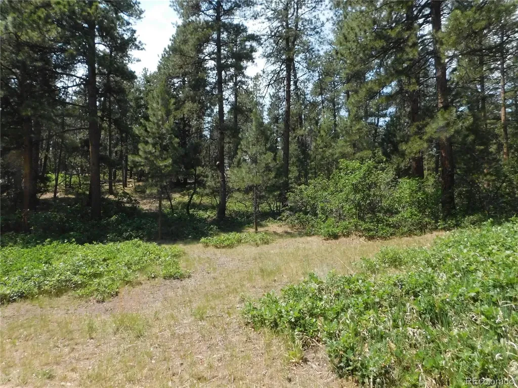 4480 Delaware Drive Larkspur CO 80118