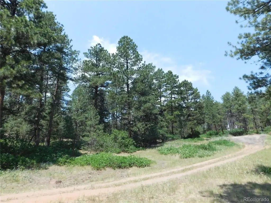 4480 Delaware Drive Larkspur CO 80118
