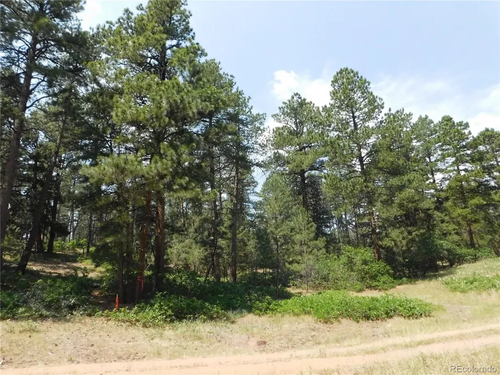 4480 Delaware Drive Larkspur CO 80118