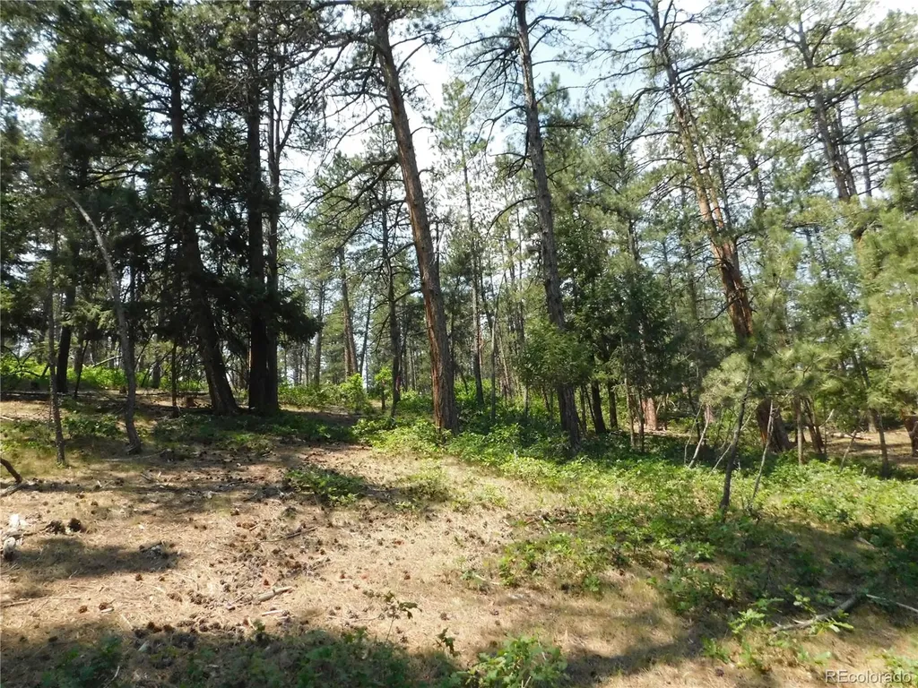4480 Delaware Drive Larkspur CO 80118