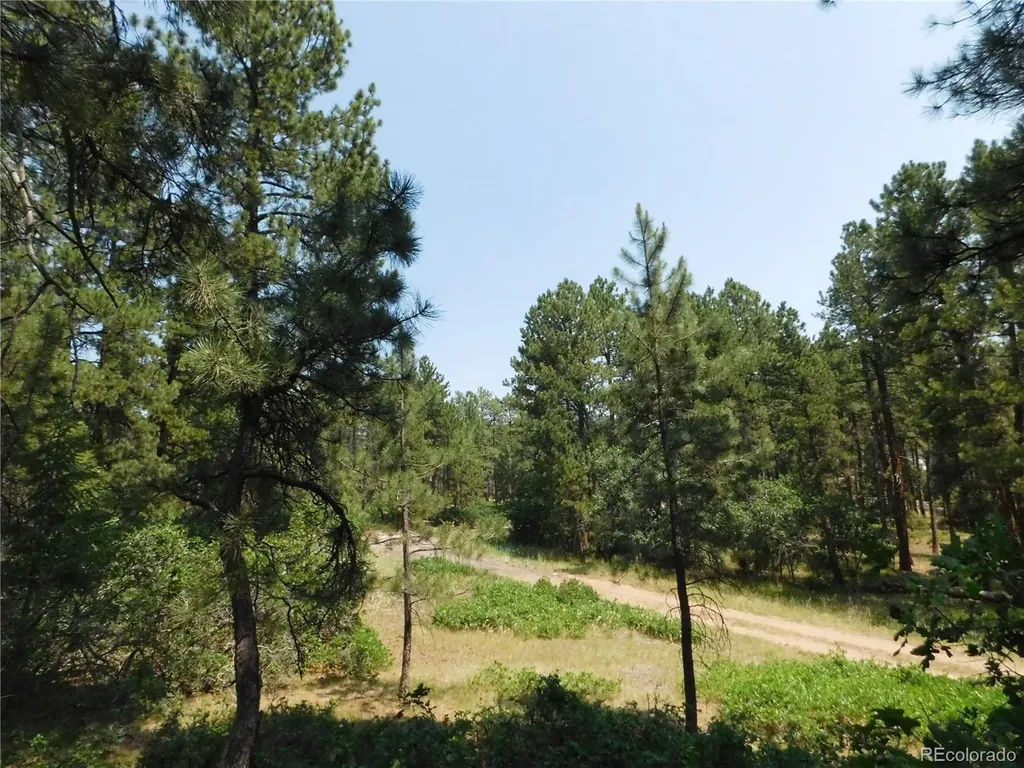 4480 Delaware Drive Larkspur CO 80118