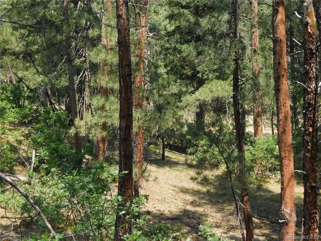 4480 Delaware Drive Larkspur CO 80118