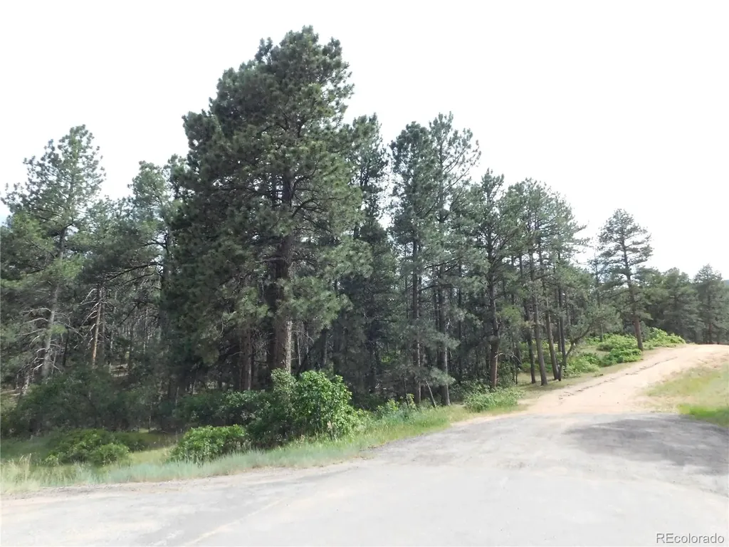 4480 Delaware Drive Larkspur CO 80118