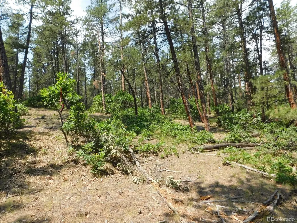 4480 Delaware Drive Larkspur CO 80118