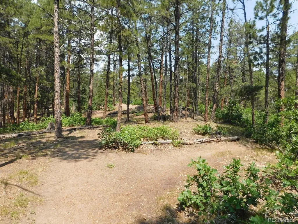 4480 Delaware Drive Larkspur CO 80118