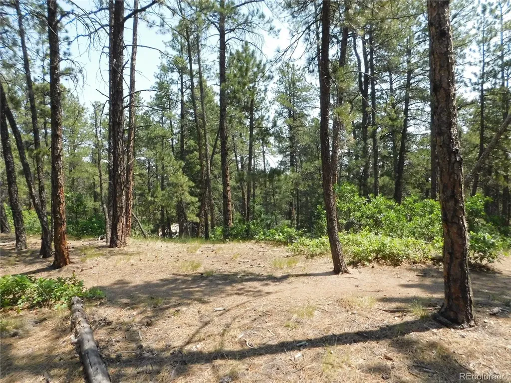 4480 Delaware Drive Larkspur CO 80118