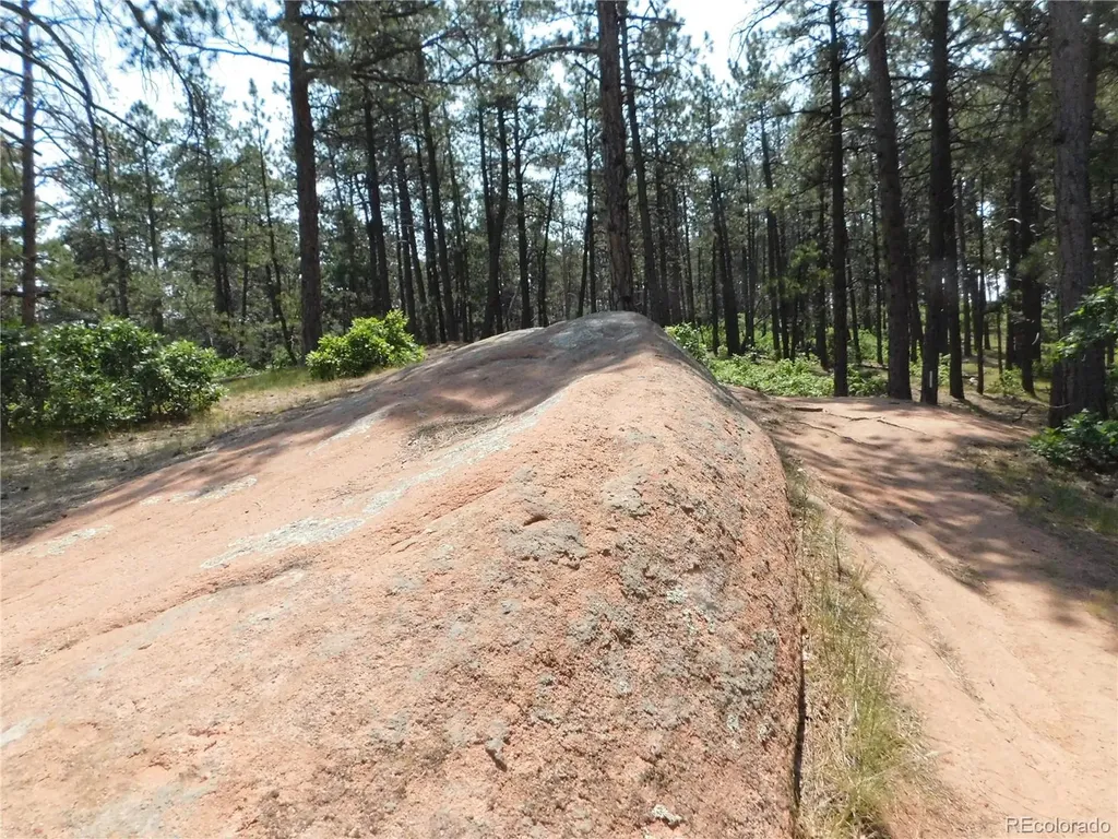 4480 Delaware Drive Larkspur CO 80118