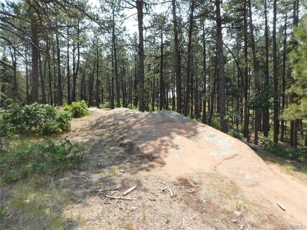 4480 Delaware Drive Larkspur CO 80118
