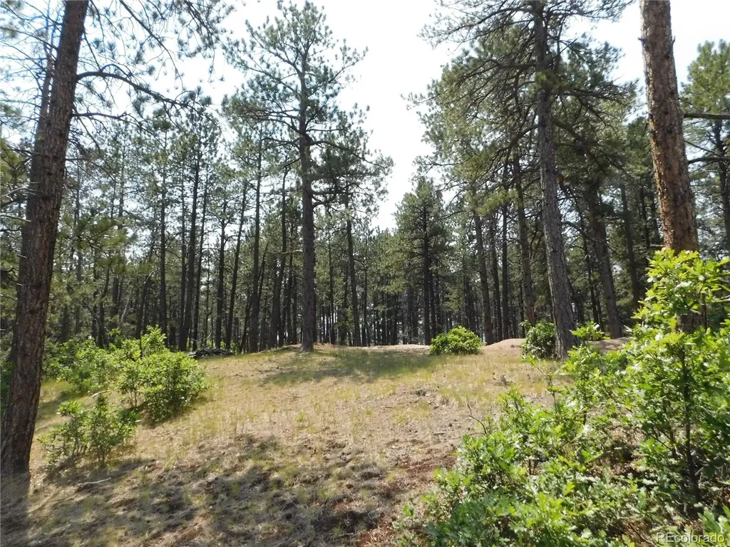 4480 Delaware Drive Larkspur CO 80118