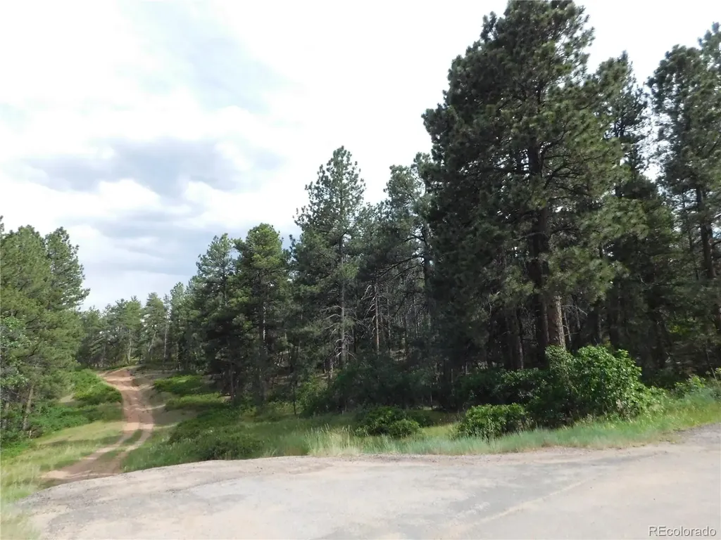 4480 Delaware Drive Larkspur CO 80118