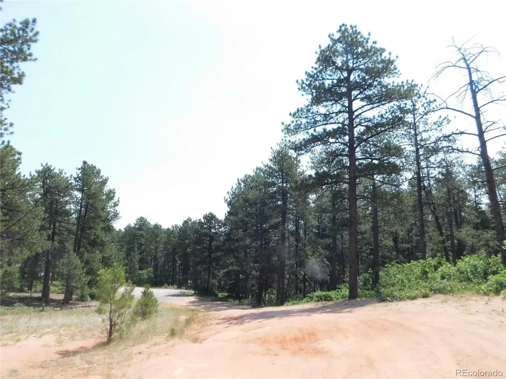 4480 Delaware Drive Larkspur CO 80118