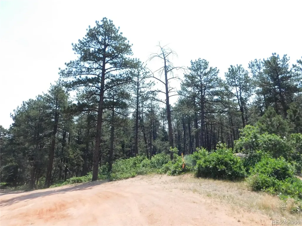 4480 Delaware Drive Larkspur CO 80118