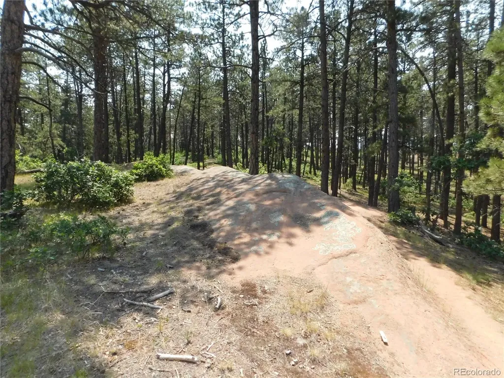 4480 Delaware Drive Larkspur CO 80118