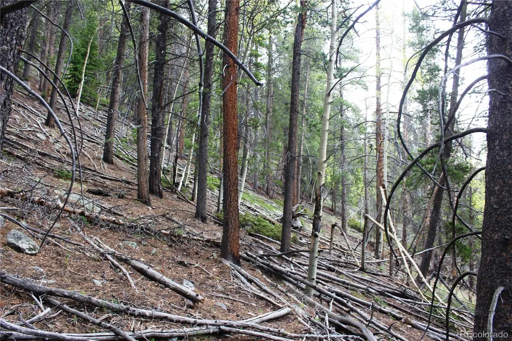 00 Broomfield Gulch Road Black Hawk CO 80422