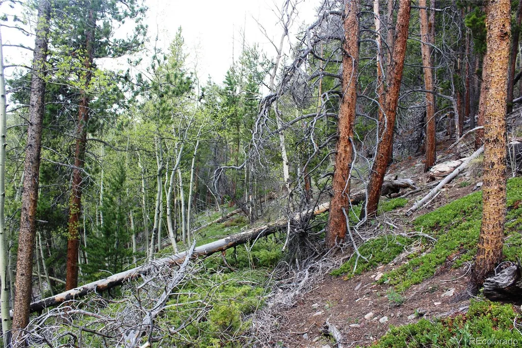 00 Broomfield Gulch Road Black Hawk CO 80422