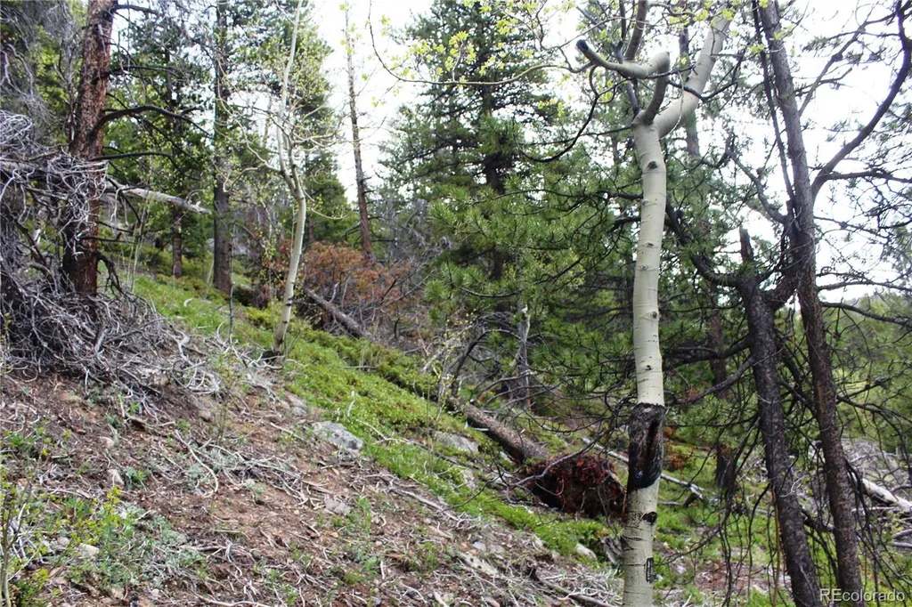 00 Broomfield Gulch Road Black Hawk CO 80422