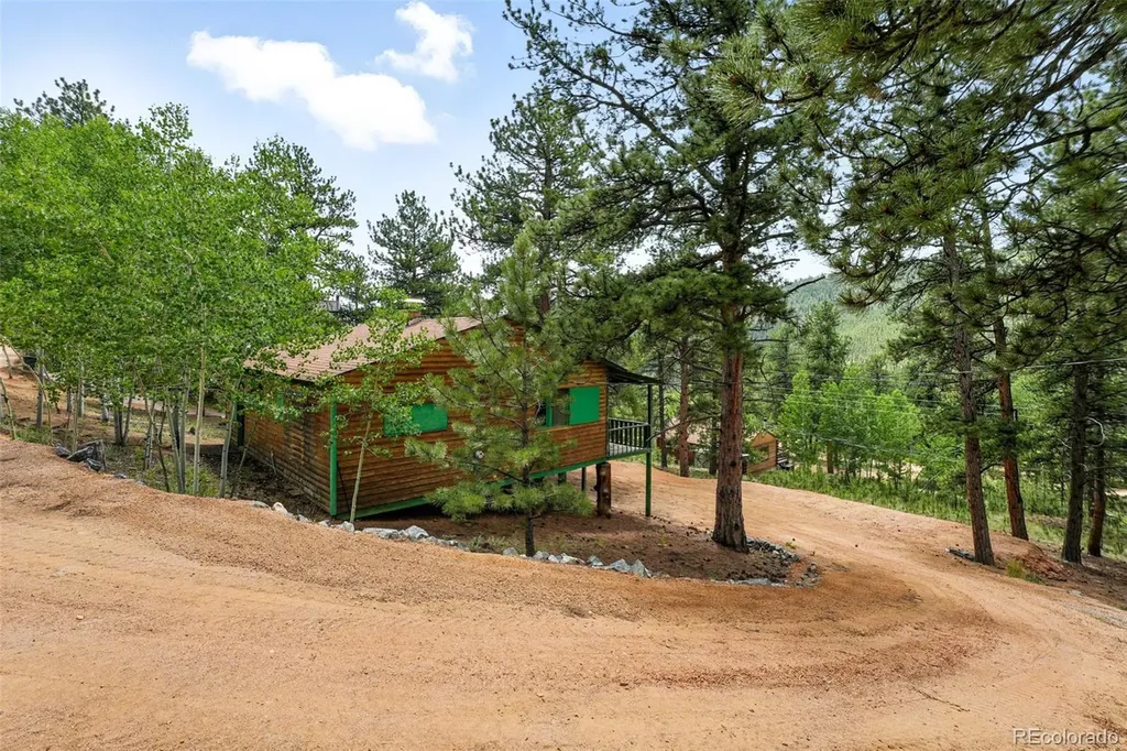 132 Jones Road Bailey CO 80421
