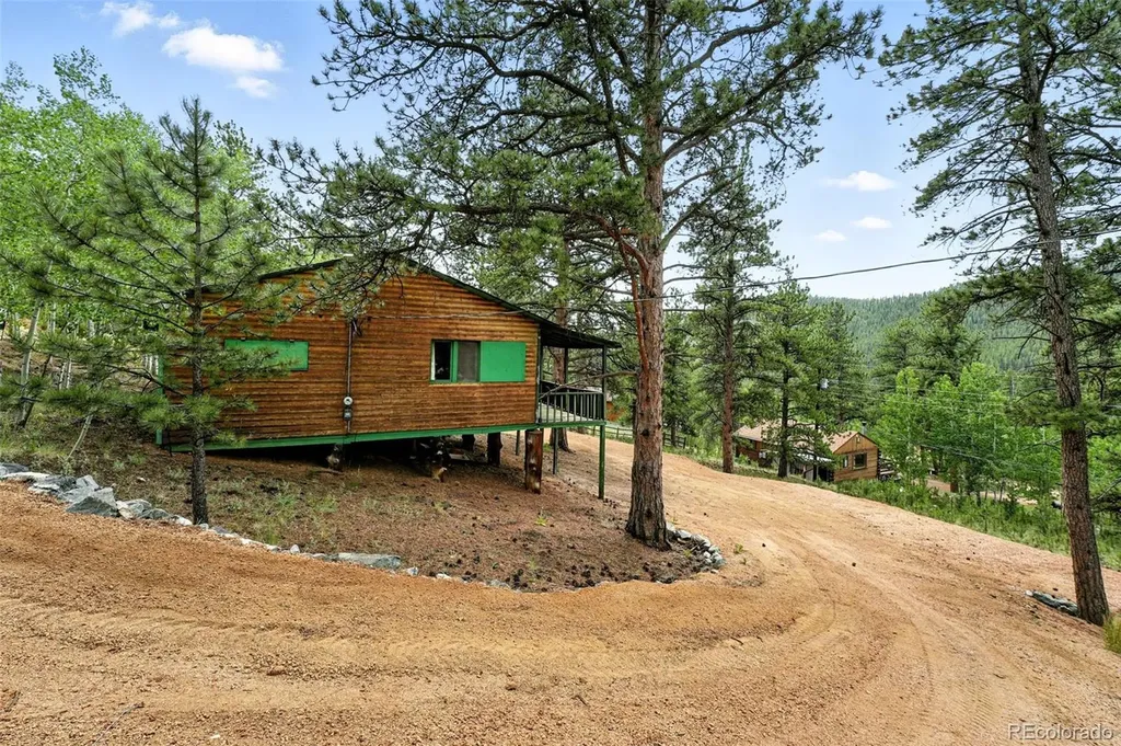 132 Jones Road Bailey CO 80421