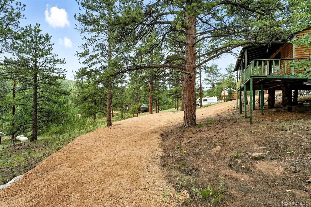 132 Jones Road Bailey CO 80421