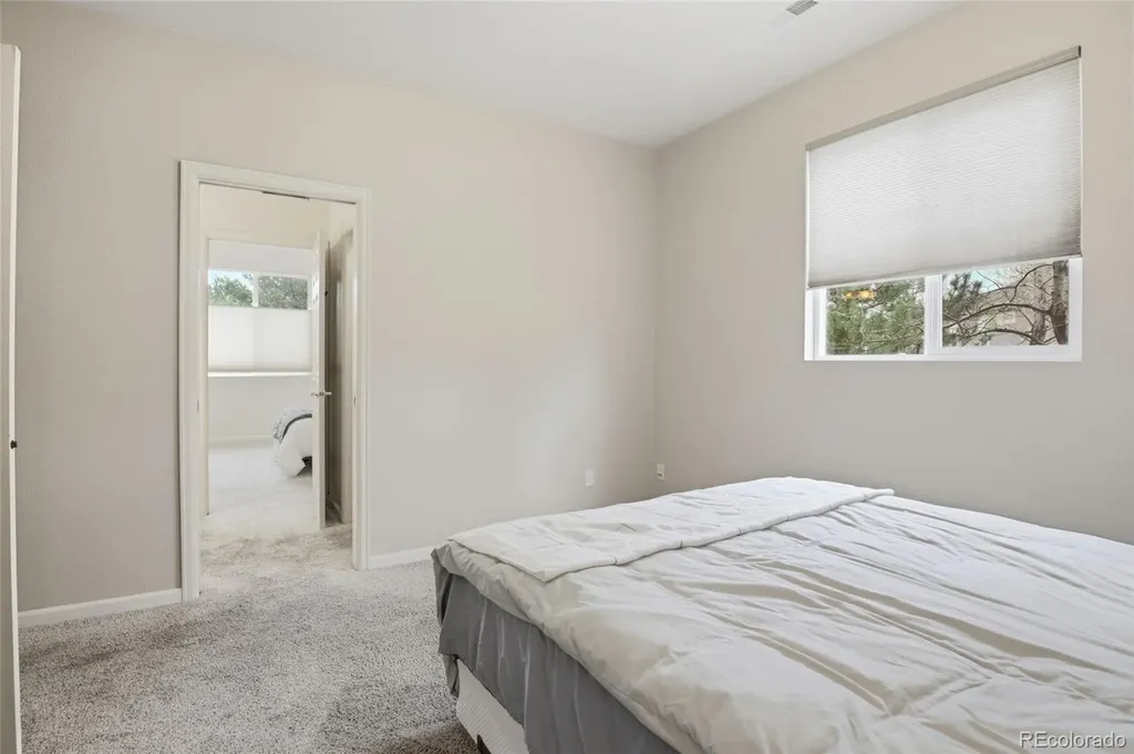 1615 Capadaro Court Monument CO 80132