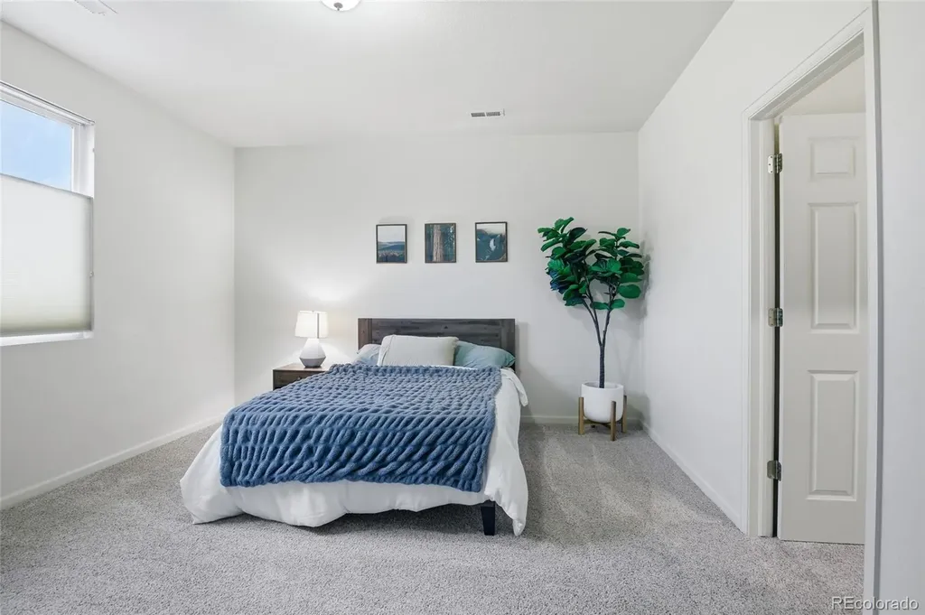 1615 Capadaro Court Monument CO 80132