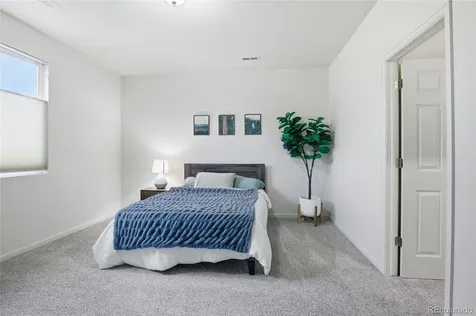 1615 Capadaro Court Monument CO 80132