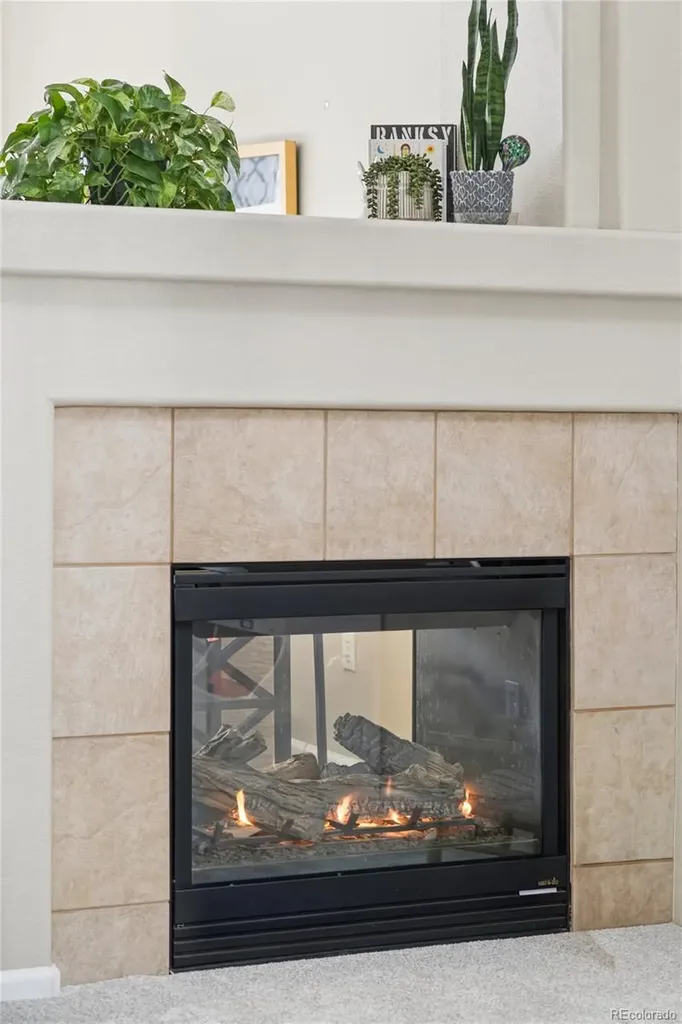 7466 S Norfolk Street Aurora CO 80016