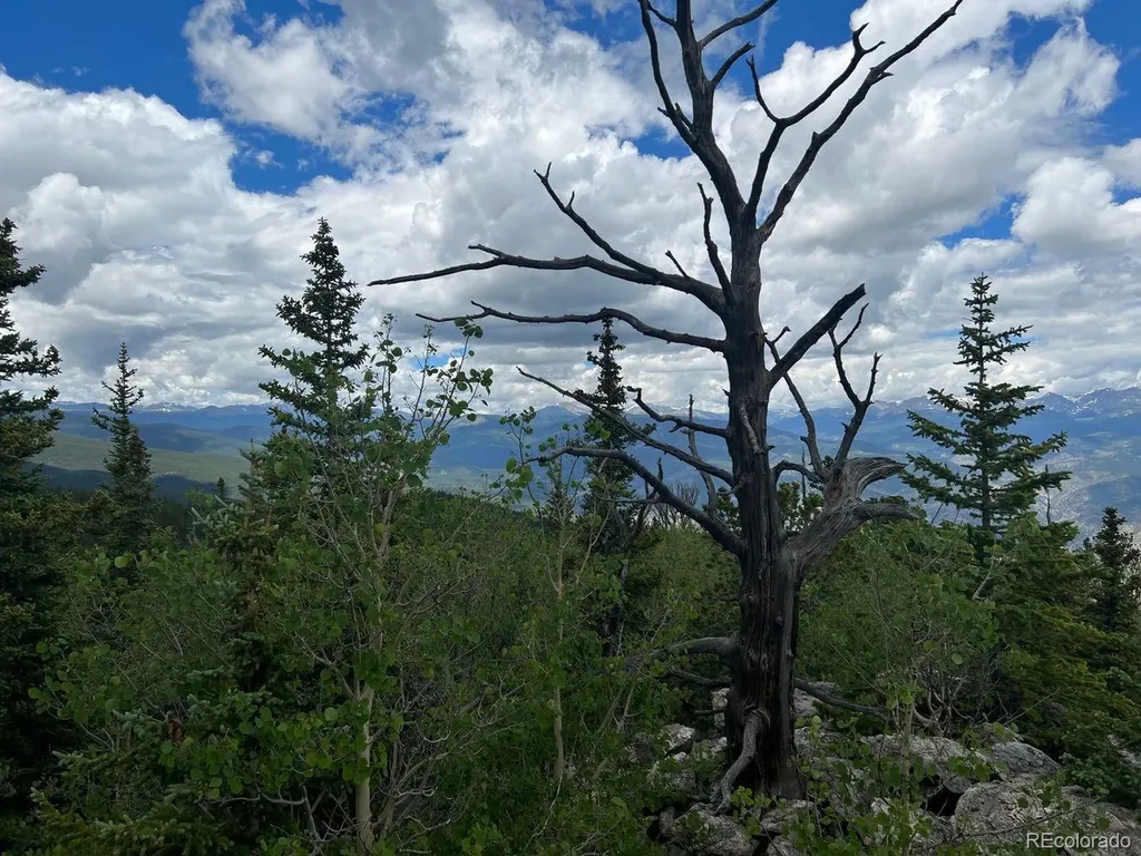 000 Hidden Wilderness Road Evergreen CO 80439