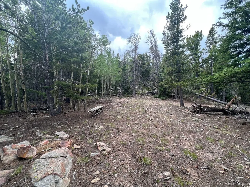 000 Hidden Wilderness Road Evergreen CO 80439