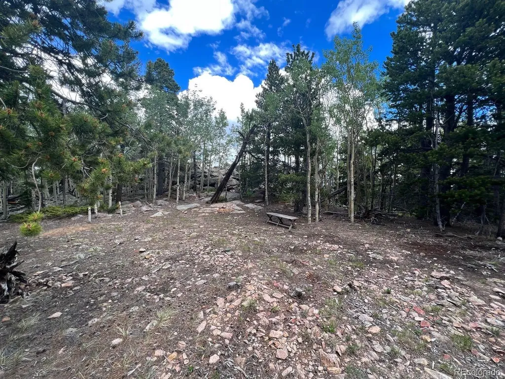 000 Hidden Wilderness Road Evergreen CO 80439