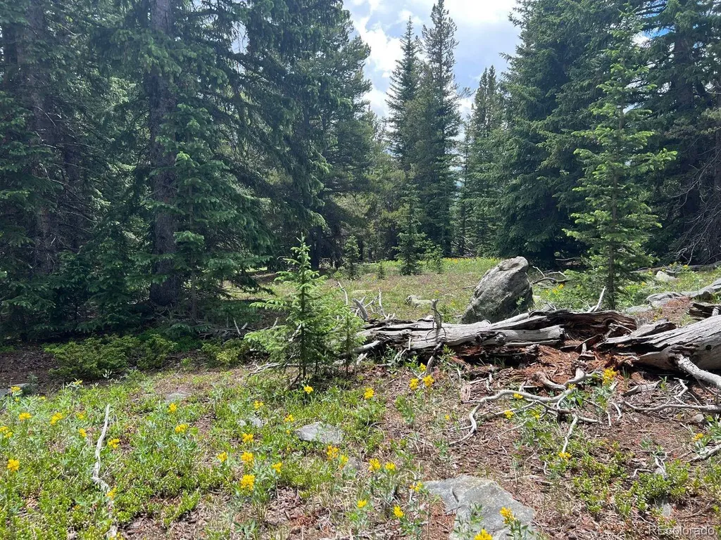 000 Hidden Wilderness Road Evergreen CO 80439