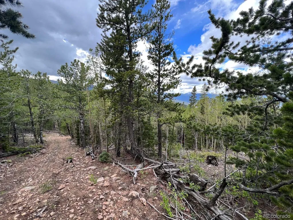 000 Hidden Wilderness Road Evergreen CO 80439