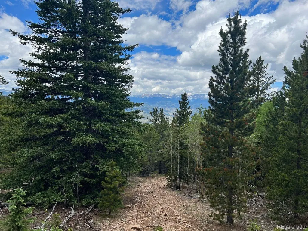 000 Hidden Wilderness Road Evergreen CO 80439