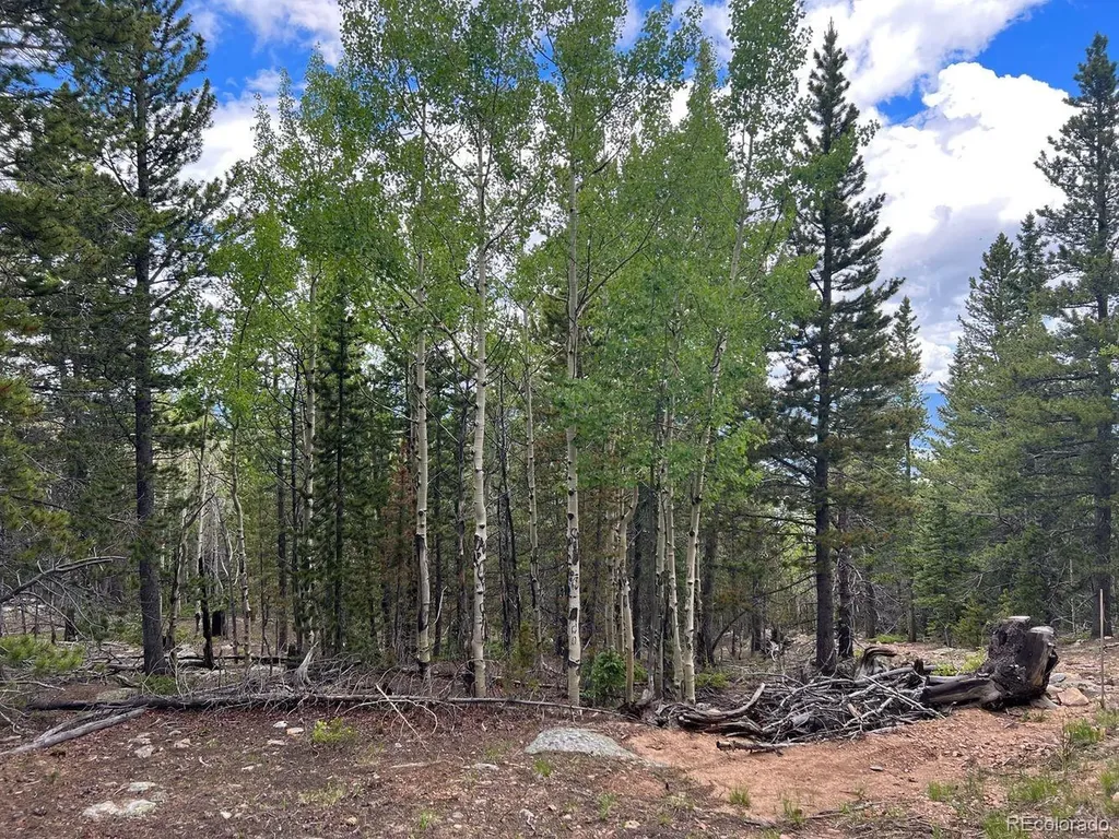 000 Hidden Wilderness Road Evergreen CO 80439