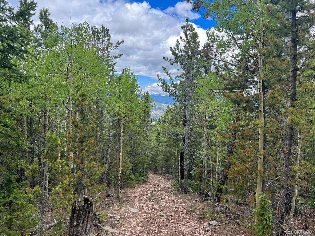 000 Hidden Wilderness Road Evergreen CO 80439