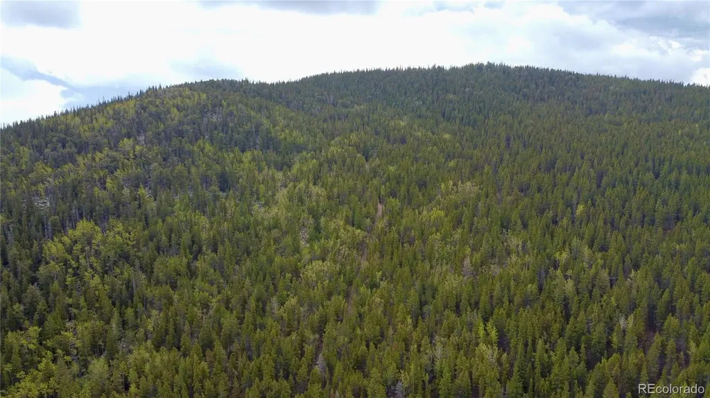 000 Hidden Wilderness Road Evergreen CO 80439
