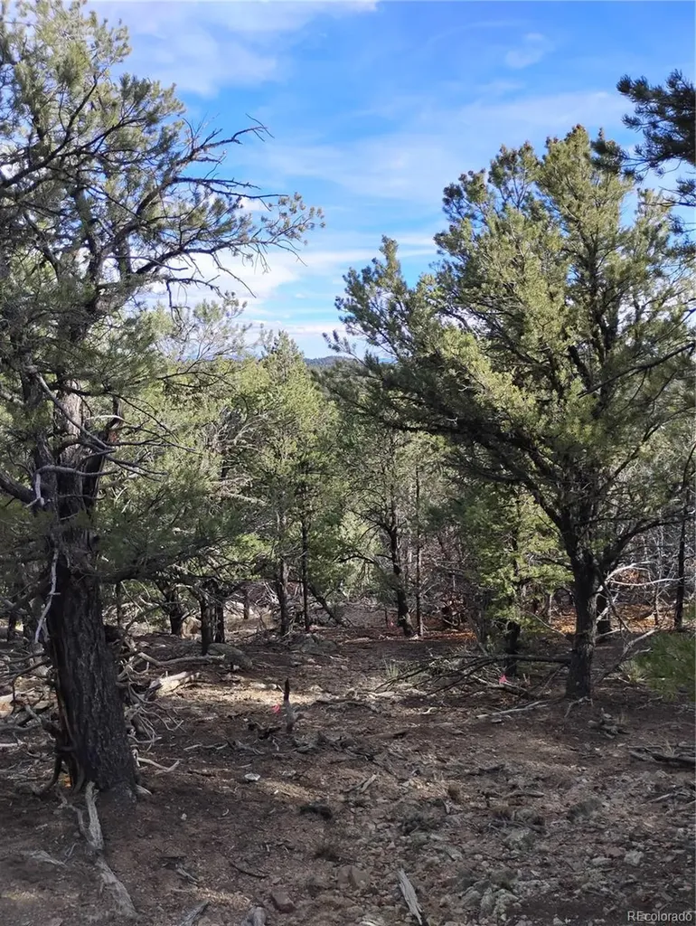 1105 Owens Lane Cotopaxi CO 81223