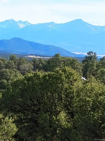 1105 Owens Lane Cotopaxi CO 81223