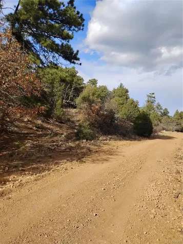 1105 Owens Lane Cotopaxi CO 81223